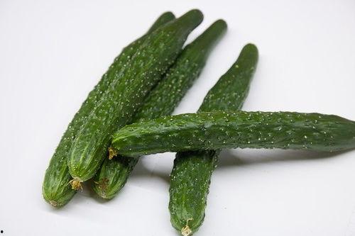 吃瓜娱乐营养,营养生活新风尚  第1张