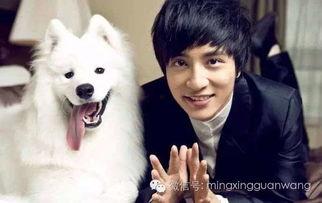 娱乐爆料男博主是谁啊,娱乐爆料界神秘男博主的真实身份  第3张